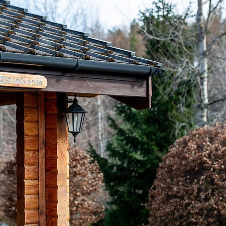Loch Insh Chalets Ltd Kincraig Exterior photo